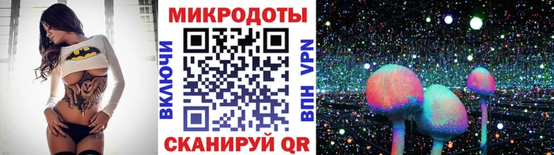 Галлюциногенные грибы прущие грибы KRAKEN зеркало Шахунья как найти закладки